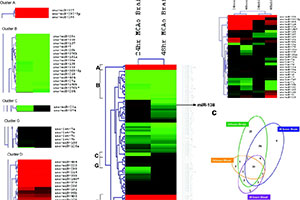 miRNAs might serve as biomarkers in stroke and related pathologies