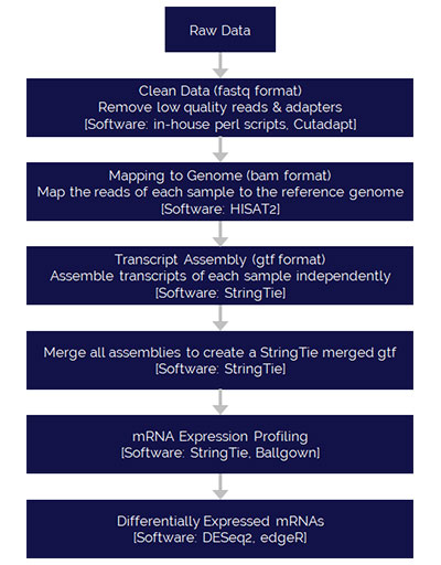 Poly(A) Data Analysis Pipeline