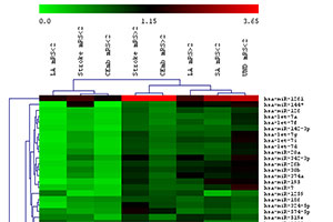 Peripheral blood miRNAs and their profiles can be developed as biomarkers in diagnosis and prognosis of cerebral ischaemic stroke