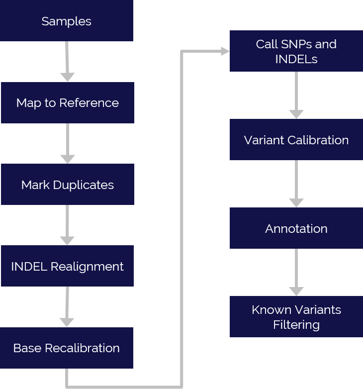 Exome Sequencing Pipeline