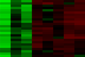 Peripheral blood miRNAs and their profiles can be developed as biomarkers in diagnosis and prognosis of cerebral ischaemic stroke