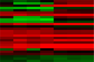 Develop novel therapeutic strategies for the treatment of neuroblastoma