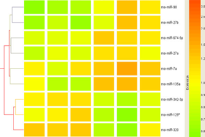 Integrating miRNA and mRNA profiles can identify novel biomarkers and molecular mechanisms for neurological disorders and neurotoxicity