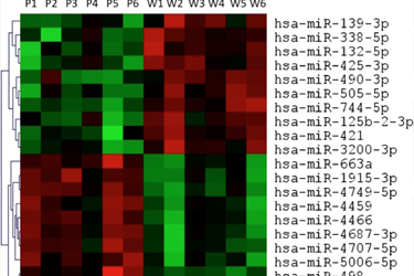 Profile neuroblastoma microRNAs which could be informative for developing new therapies