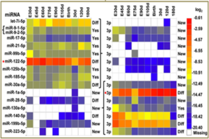 Uncovering the epigenetics of obesity