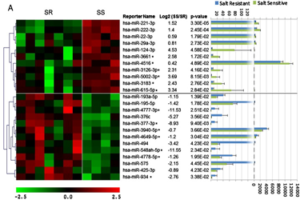 Urinary exosome miRNome signatures are biomarkers for risk of metabolic hypertension