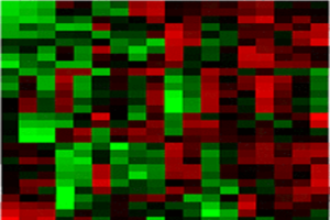 Time-dependent profiles of miRNA expression can act as biomarkers in cerebral ischemic tolerance and neuroregeneration