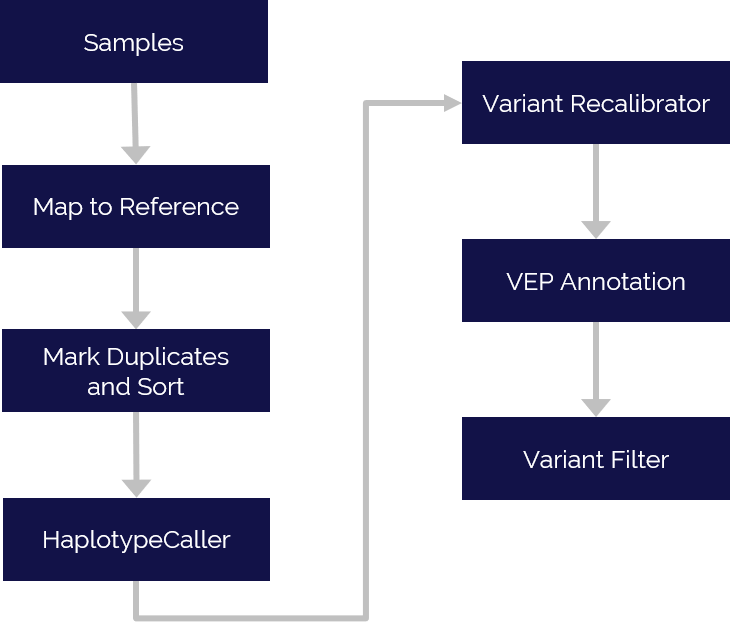 Whole Genome Sequencing - Data Analysis Pipeline